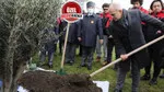 Bir zeytin hikayesi! Edremit’ten söküp Büyükçekmece’ye dikti!